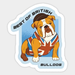 British bulldog wearing union jack vest Sticker